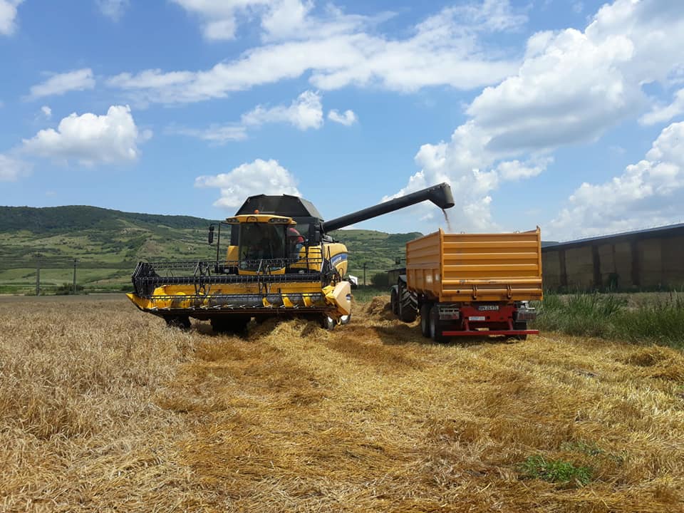 APIA anunță producătorii agricoli de cereale că pot depune cereri de finanțare până în 11 mai