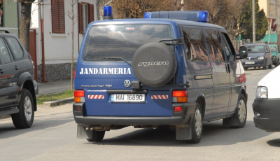 Jandarmii sibieni după mesajul RO-ALERT de azi-noapte: Ursul nu a fost găsit