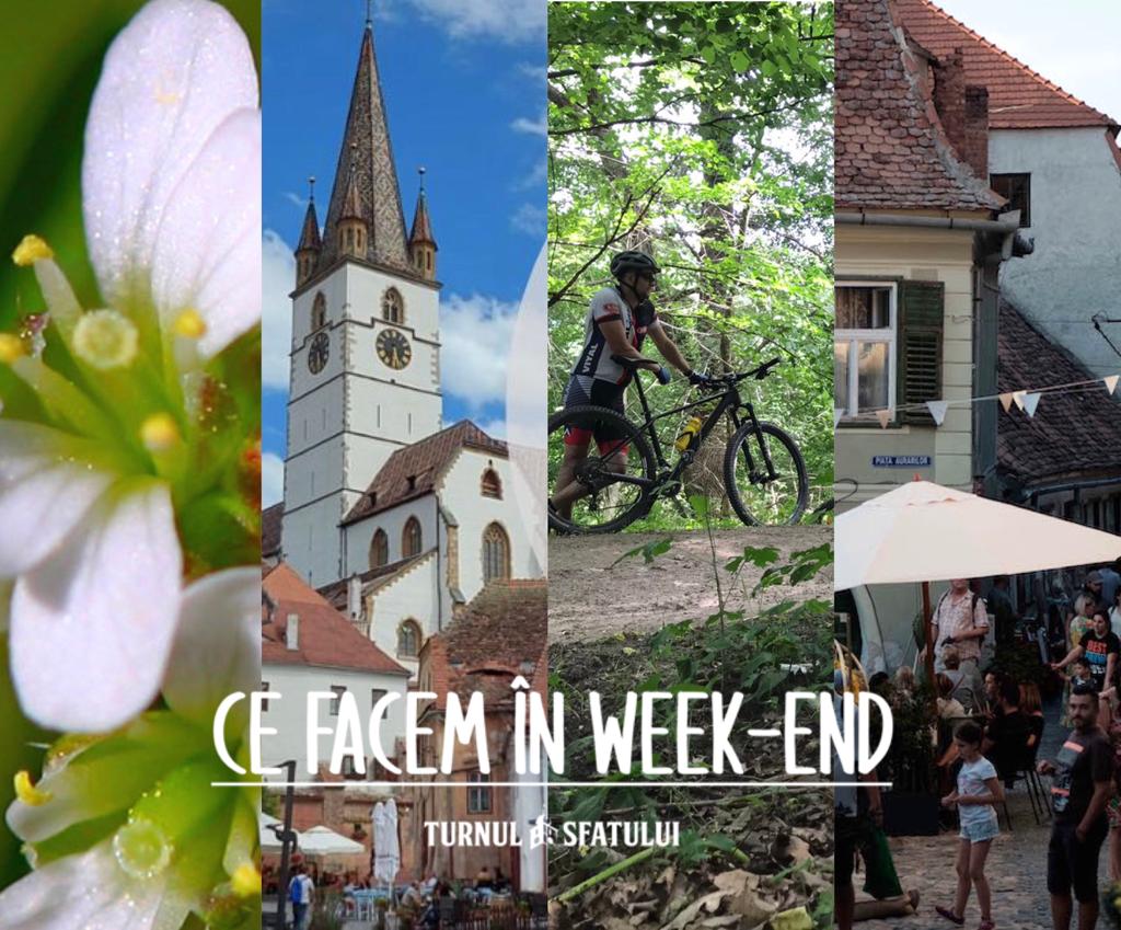 Ce facem în weekend-ul prelungit? Flori pe scări, treasure hunt, carousel party, stand-up comedy și tură cu bicicletele