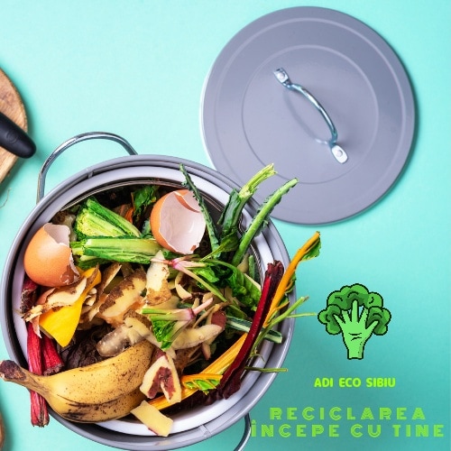 Compostul și deșeurile biodegradabile. Ce se pune și ce nu se pune la compostat