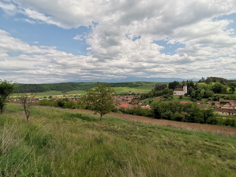 Proiectele Maratonului: Asociația „Hai din pantofi în bocanci” aleargă pentru a organiza evenimente culturale gratuite în Roșia