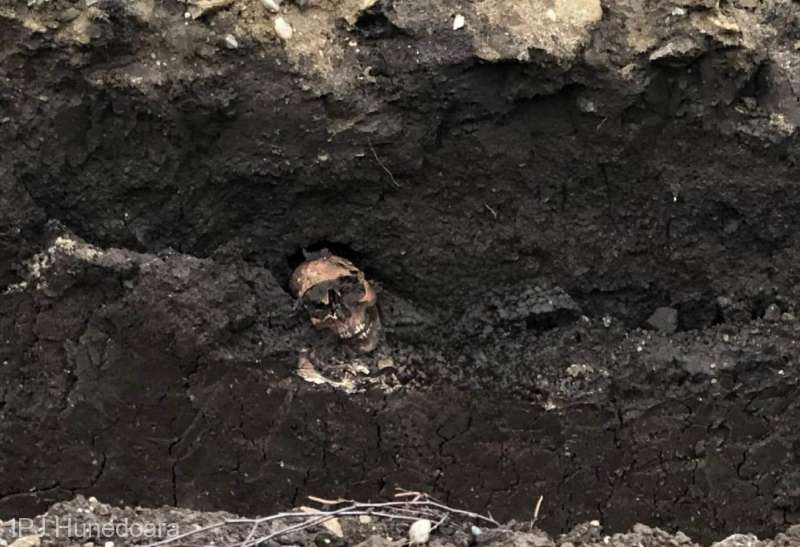 Oseminte care par a fi de natură umană, găsite în centrul Devei, în timpul unor lucrări