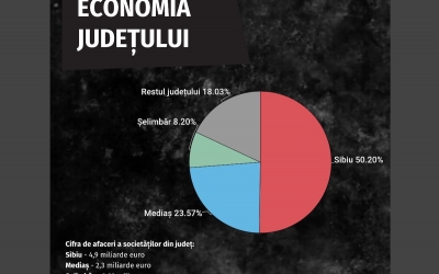 Centralizare fără precedent a economiei județului. 87% din profit se face exclusiv în Sibiu, Mediaș și Șelimbăr