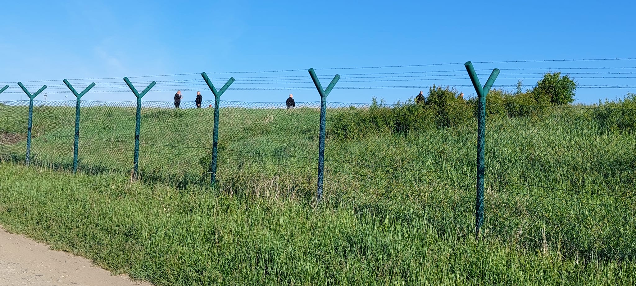 Au găsit ursul, dar acesta a sărit gardul Aeroportului Sibiu chiar când era să fie tranchilizat. „S-au găsit urmele acestuia până în zona din vecinătatea cartierului Turnișor”