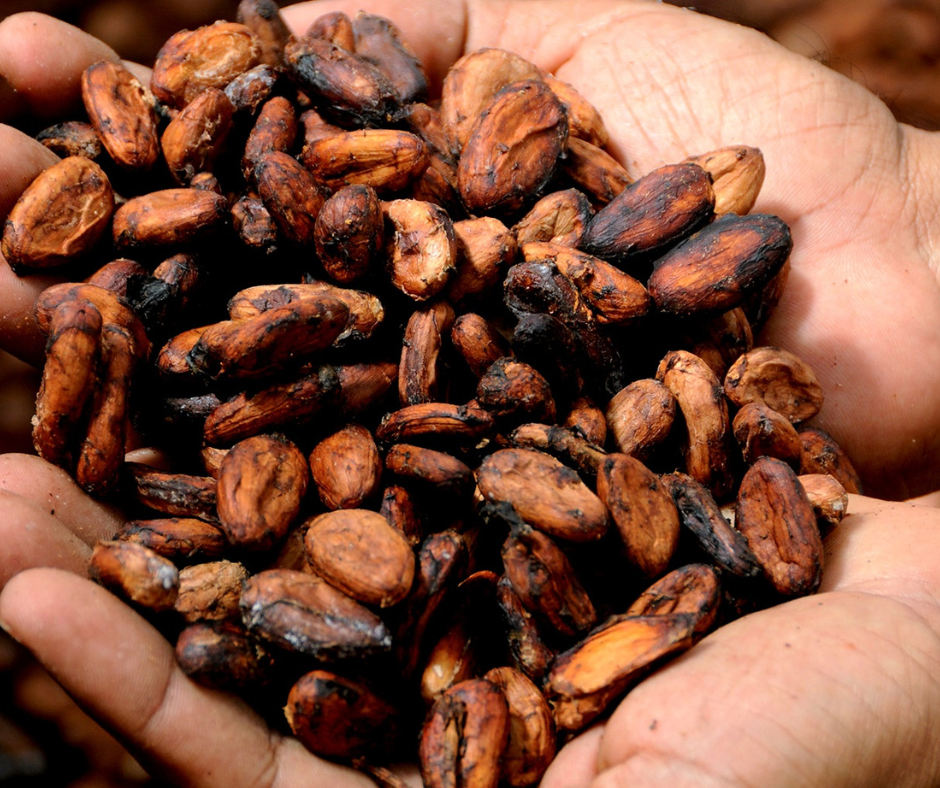 Care sunt beneficiile consumului de cacao