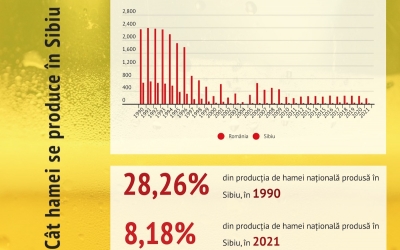Cât a scăzut suprafața cultivată cu hamei în Sibiu: De la 663 de hectare, în 1990, la doar 13, acum. ”Berarii pot şi doresc să achiziţioneze mai multă materie primă de pe piaţa locală”