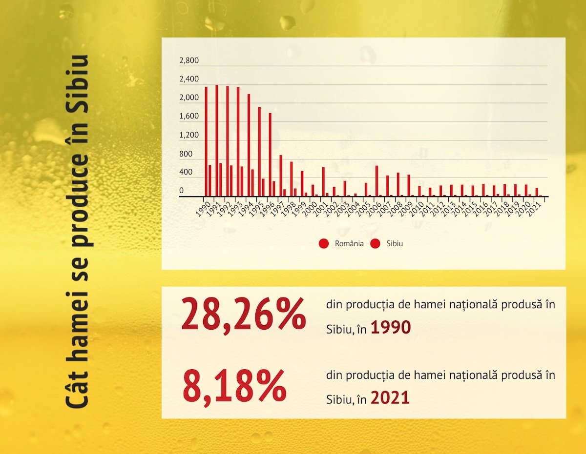 Cât a scăzut suprafața cultivată cu hamei în Sibiu: De la 663 de hectare, în 1990, la doar 13, acum. ”Berarii pot şi doresc să achiziţioneze mai multă materie primă de pe piaţa locală”
