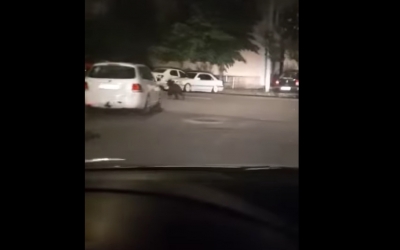 VIDEO Un urs văzut în oraș, pe Calea Cisnădiei. Primăria: sesizarea a venit la ora 3.55. Animalul nu a fost găsit