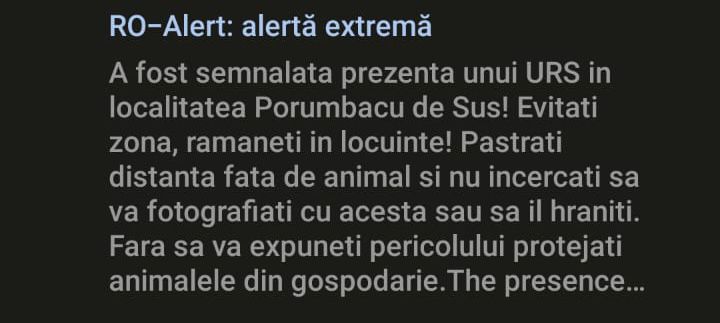 Mesaj RO-ALERT pentru locuitorii din Porumbacu de Sus: În localitate se află un urs