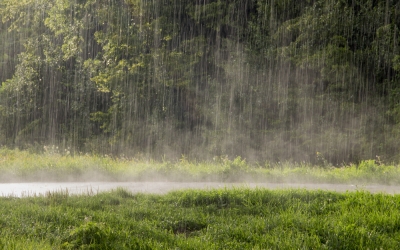 Cod galben în tot județul: Ploi torențiale și vijelii