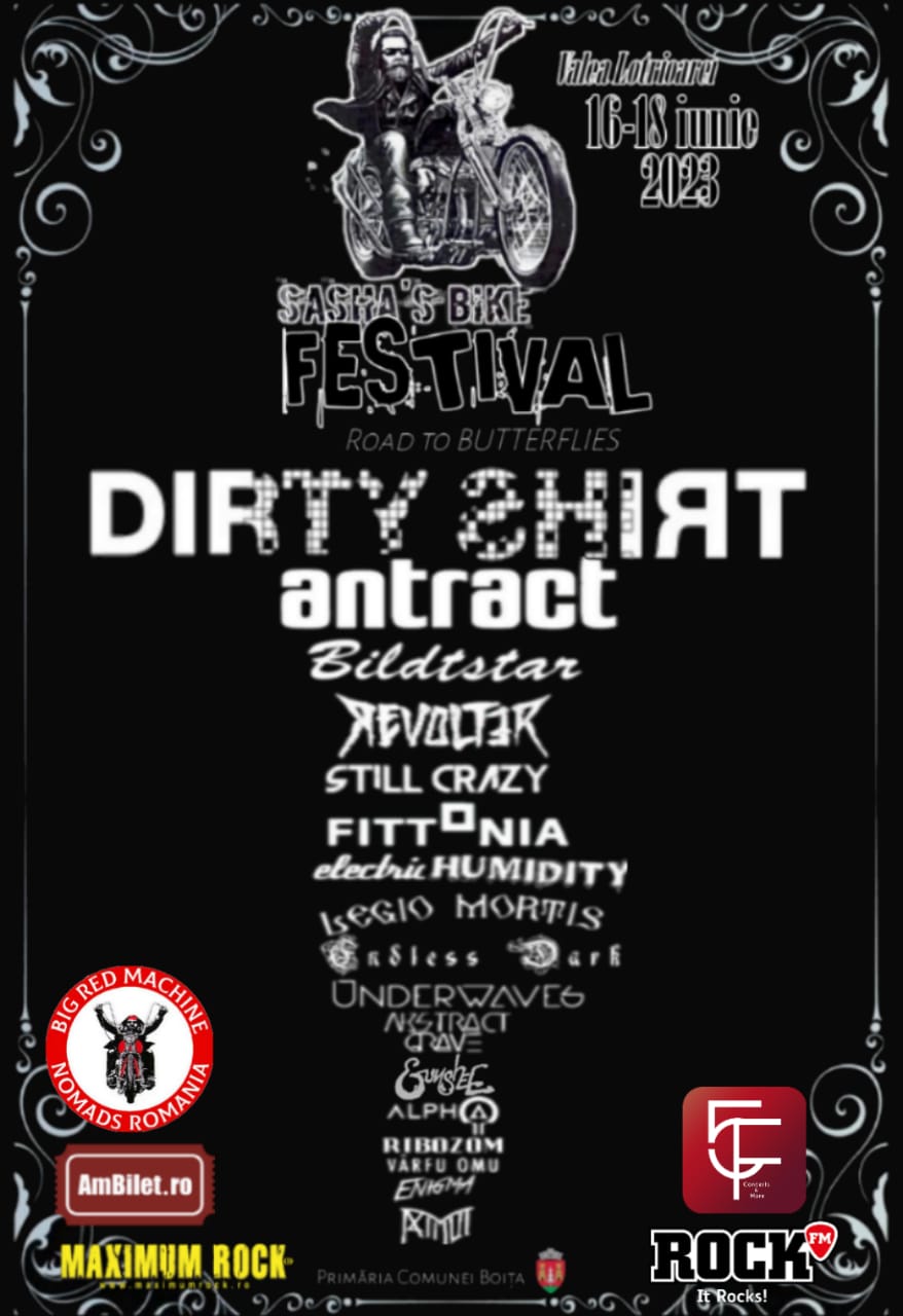Un nou festival rock în județul Sibiu. Banii strânși vor fi donați copiilor care suferă de o boală incurabilă