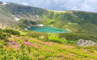Paradisul „îmbujorător” al Sibiului, în care tot mai mulți își bagă mașinile. „A devenit o zonă atât de călărită de toți nesimțiții”