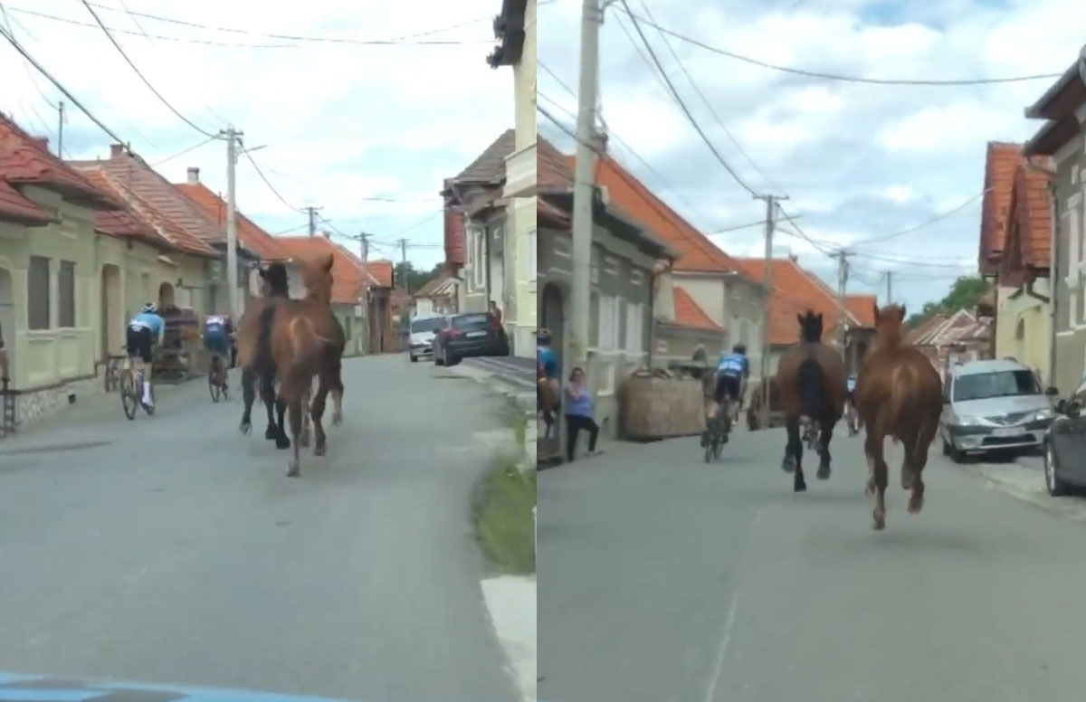 VIDEO Caii din Mărginimea Sibiului, vedete la Turul Ciclist. S-au luat la întrecere cu sportivii