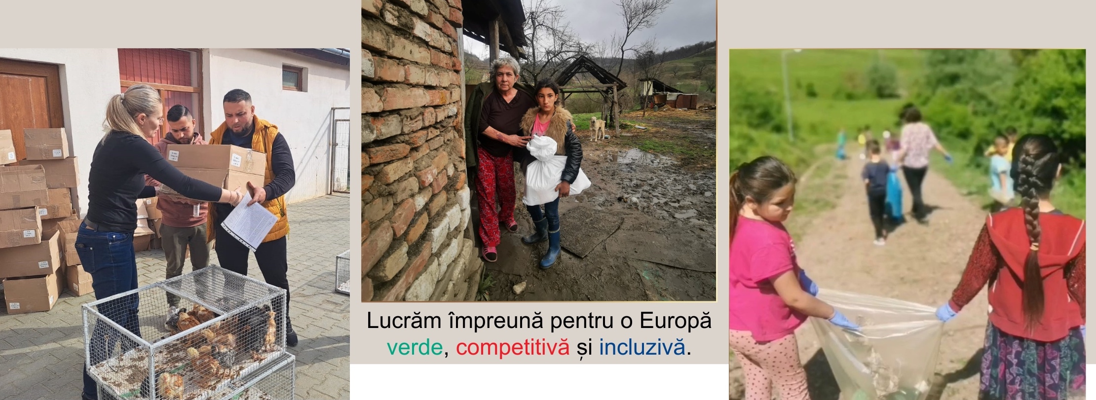 Sute de sibieni din Podișul Mediașului au primit gratis pui de găină și furaje din partea unui ONG