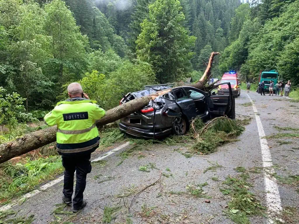 O femeie a murit pe Transalpina după ce un copac a căzut pe mașină, în urma unei vijelii