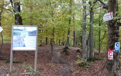 Mișcare și artă în weekend, la Rășinari: ne plimbăm cu bicicletele pe traseul Emil Cioran și admirăm expoziția de grafică „Artă şi filozofie pe Costa Boacii”