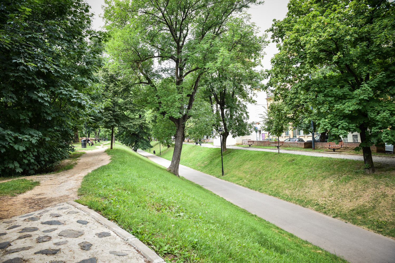 Alee cu ”licurici”, șezlonguri și bănci rotunde: Parcul Cetății intră în modernizare, contract de 2,3 milioane de lei