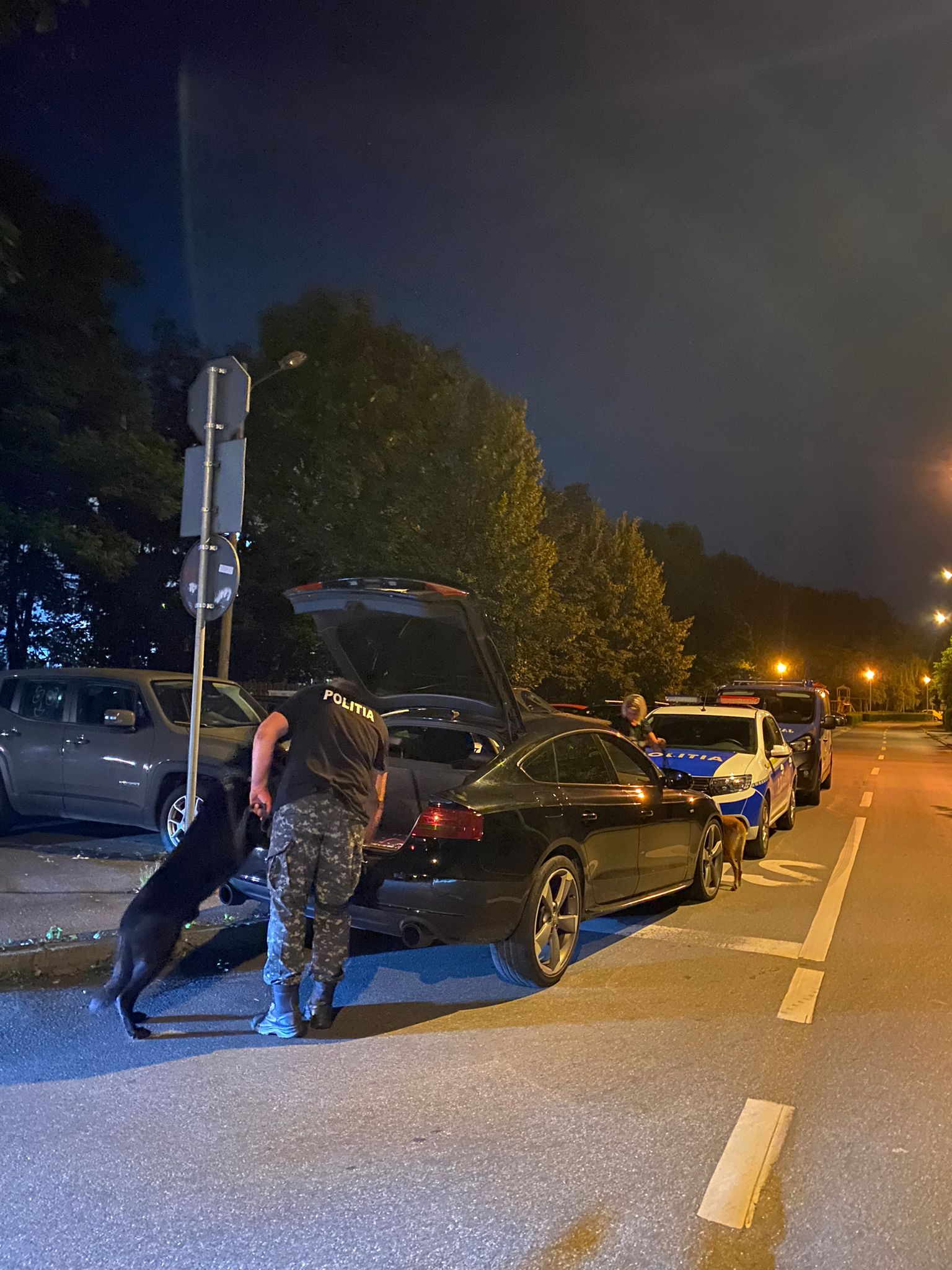 Oprit la marginea Sibiului un tânăr șofer a aruncat drogurile pe geam. Doi câini de poliție l-au văzut