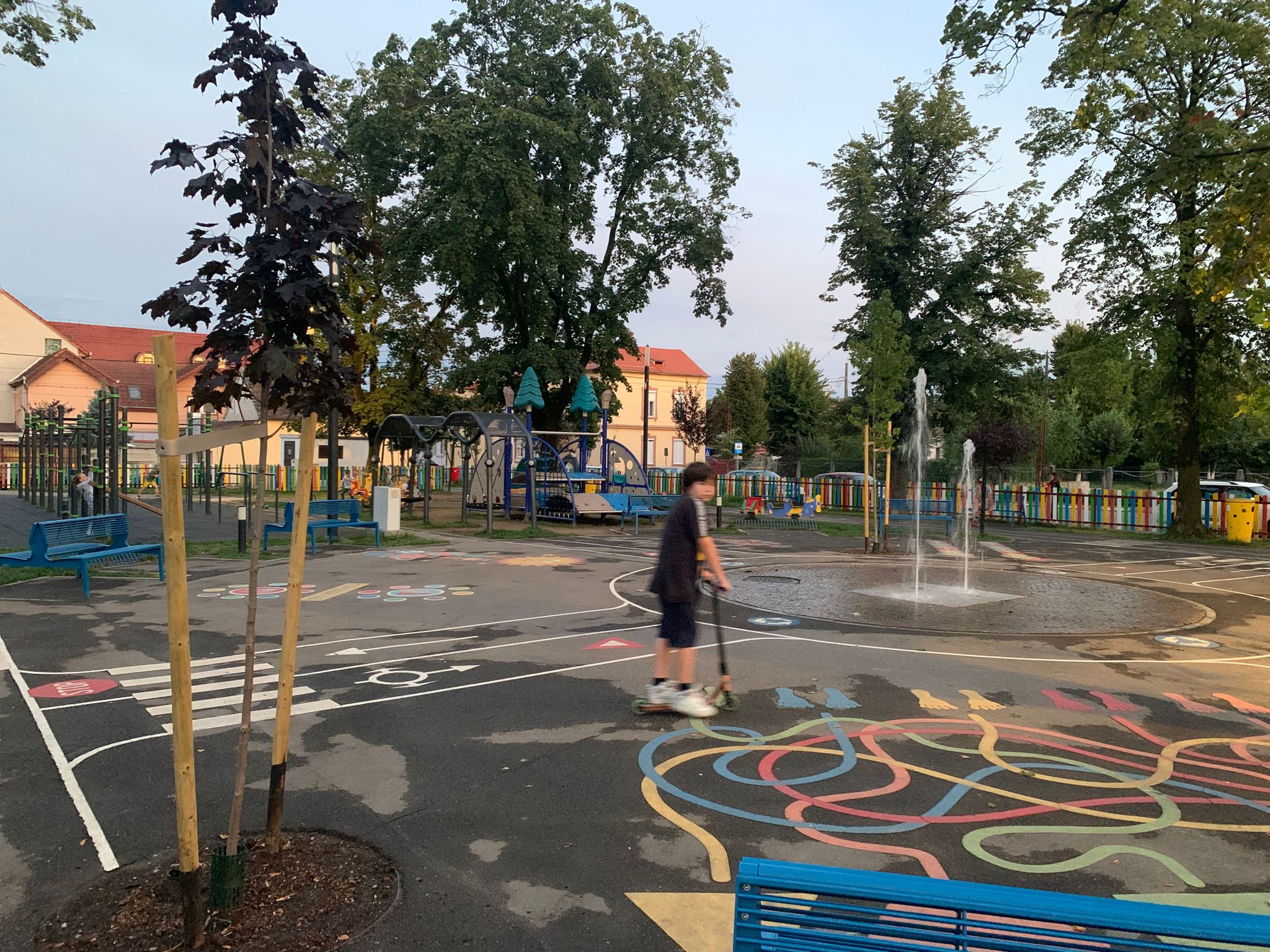 Copacii „bătrâni și bolnavi” din parcul Piața Cluj au fost înlocuiți