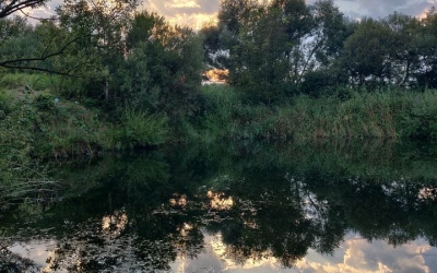 Zonă de lacuri mai puțin cunoscută a Sibiului, acoperită de gunoaie. ”O bucată de natură sălbatică la doi pași de oraș, de care o parte din locuitori își bat joc”