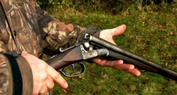 Un faimos lup din Europa, autorul celei mai lungi migraţii cunoscute, a fost împuşcat mortal de un copil de nouă ani în Ungaria