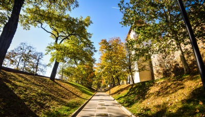 Ce facem în prima lună de toamnă la Sibiu? Foodie, Sibiu Music Fest, Sibiu Jazz Festival și Festivalul Cailor „El Zorab”, printre evenimentele lunii septembrie