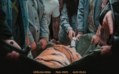 „Tigru” - filmul inspirat din povestea tigrului care a evadat de la Zoo Sibiu poate fi văzut de vineri, în cinematografe