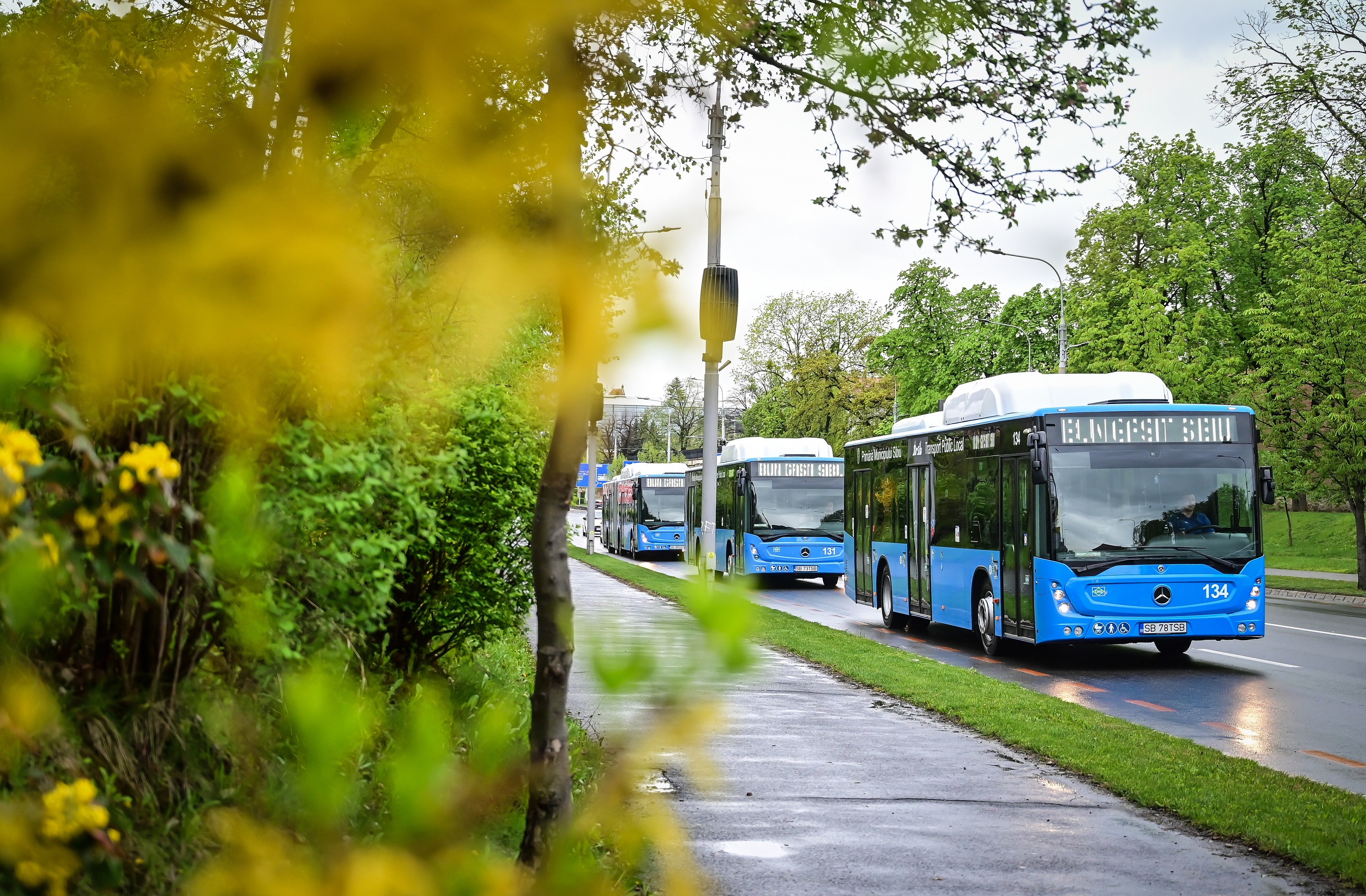 Soliciți cardul online și-ți vine la școală. Peste 1.500 de carduri de transport gratuit pentru elevi au fost deja procesate de Tursib