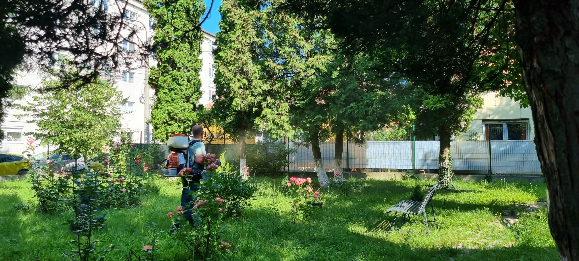 Luni și marți sunt anunțate în Sibiu campanii de dezinsecție împotriva căpușelor
