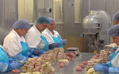 Cum se fabrică sarmalele la Scandia Sibiu: Deși procesul de producție este industrial, sarmalele sunt împăturite manual