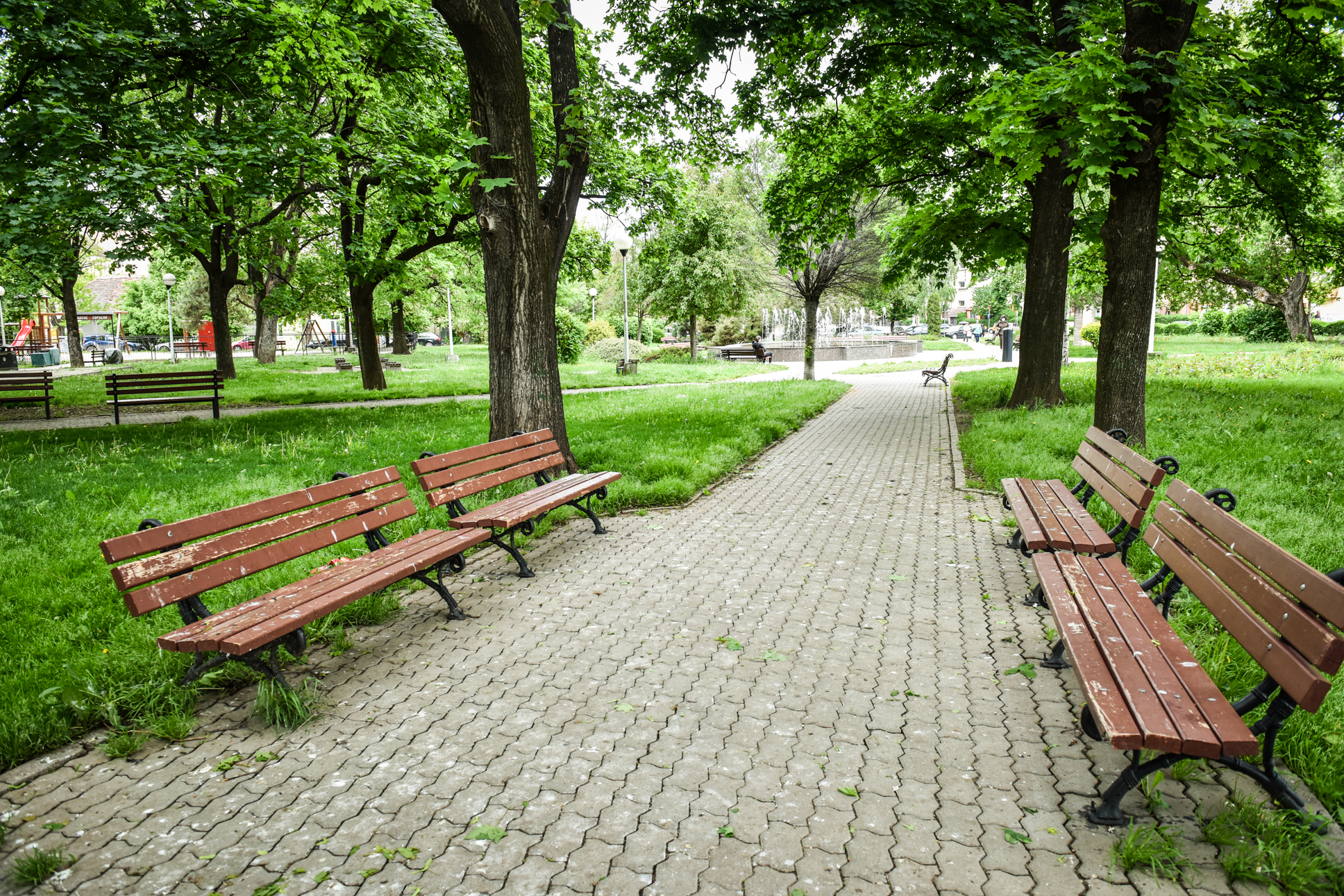 În parcurile din Sibiu sunt peste 500 de bănci. În medie, fiecare este spălată de patru ori pe lună sau „în funcție de necesitate”