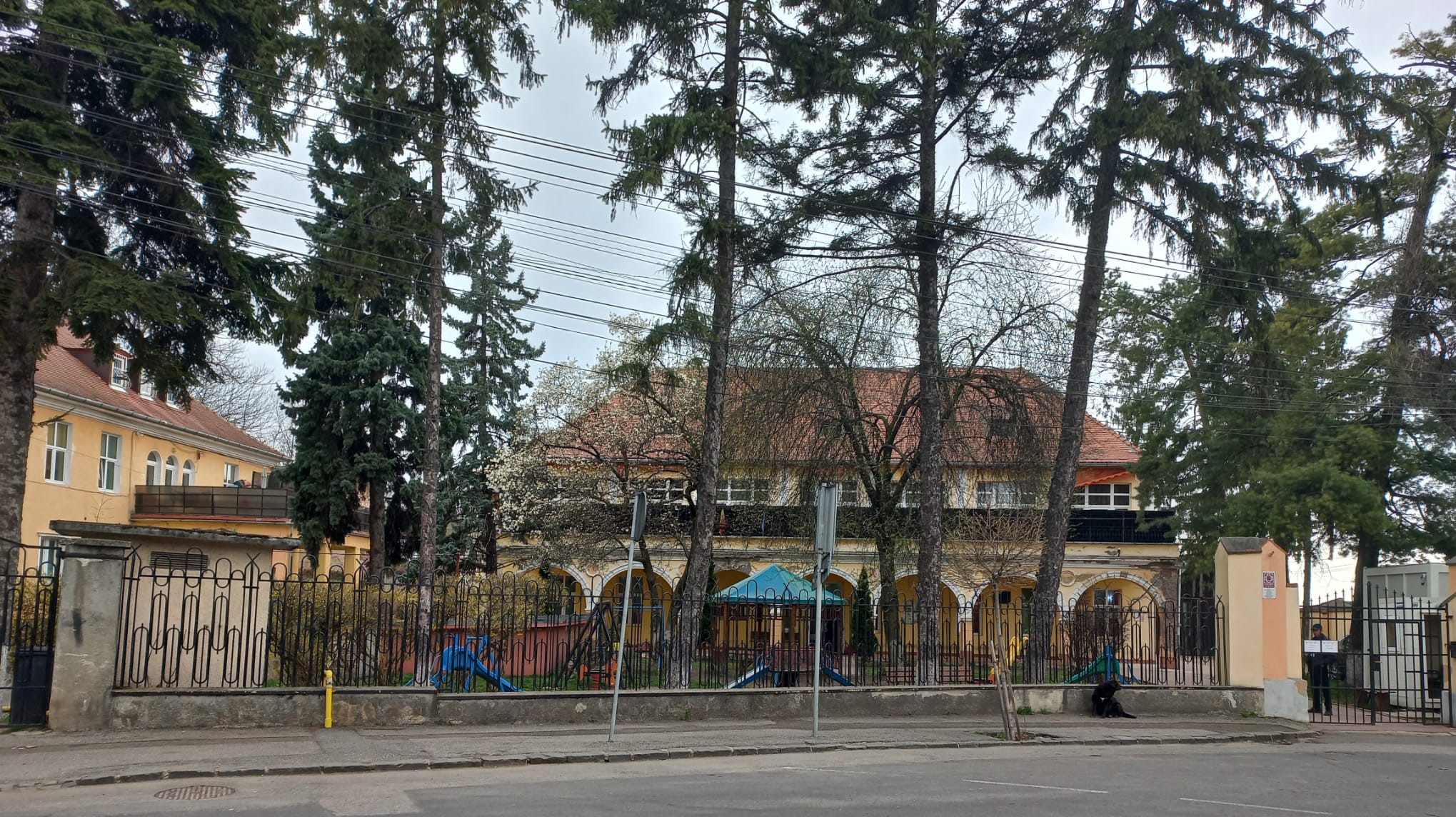 Fetele care s-au automutilat la Prichindelul sunt aceleași din luna decembrie. DGASPC: „A fost o modalitate de a-și gestiona și exterioriza emoțiile”