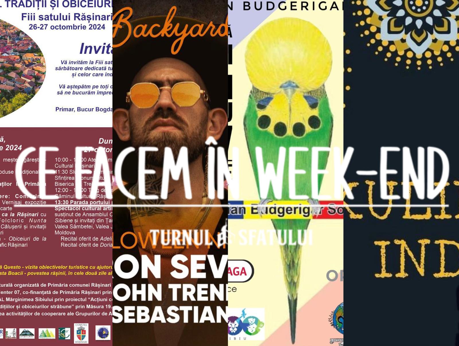 Ce facem în weekend? Concert Direcția Cinci, Astra Film Festival, plimbare cu mocănița, meci FCH - Dinamo