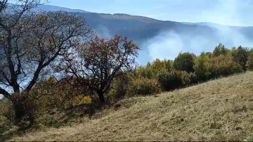Incendiul de pădure de la Gura Râului a fost lichidat. „Foc deschis în spații deschise” este cauza probabilă indicată de pompieri