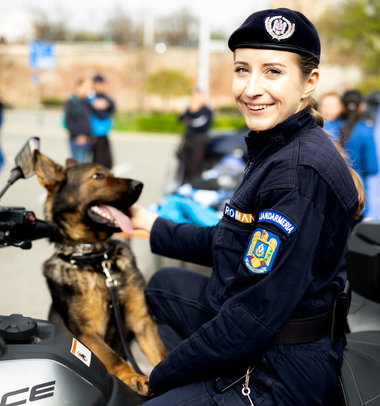 Ziua Mondială a Animalelor, marcată de Jandarmeria și Poliția Sibiu: patru câini de serviciu fac echipă cu jandarmi
