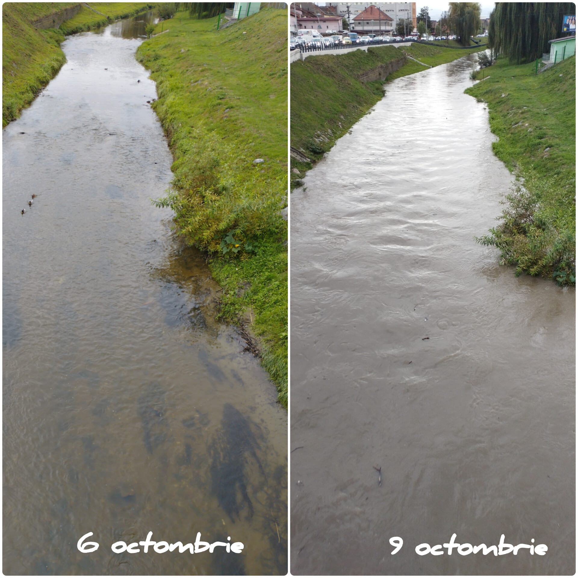 Barajul de la Gura Râului este 91% plin. Apele Române a început golirea controlată: ”Ne-am propus să scădem nivelul cu 80 de cm pe zi timp de trei zile”