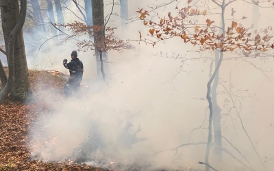 Actualizare: Incendiu puternic de vegetație la Câineni. Sunt trei zile de luptă cu focul pentru pompierii din Vâlcea și în zonă bate vântul. Se intervine cu elicopterul alimentat de la Sibiu