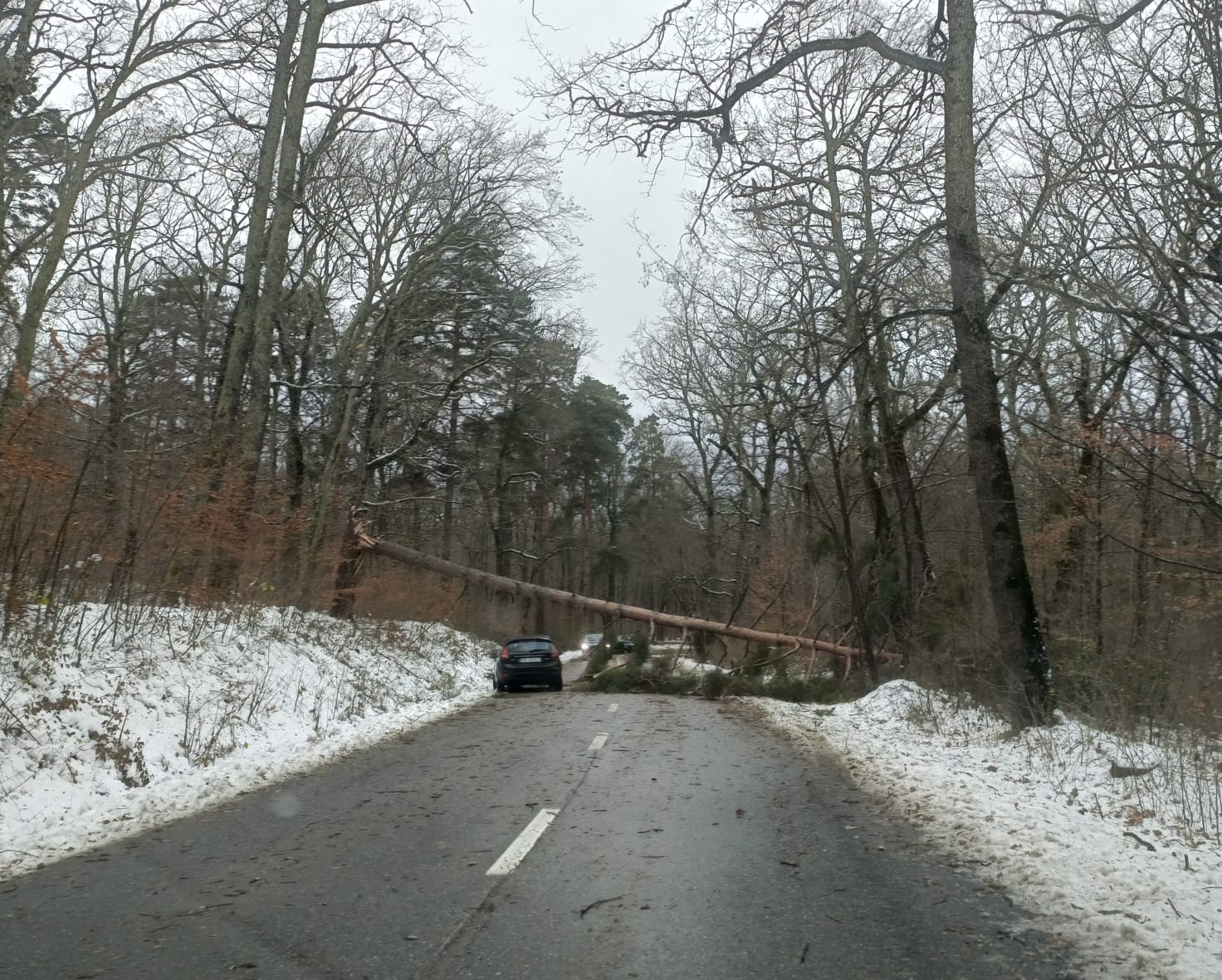 Drumul spre Păltiniș este blocat, din cauza viscolului: Traficul este blocat, la intrarea în stațiune. Și spre Cisnădioara un copac căzut blochează circulația