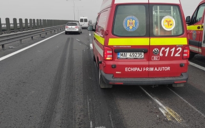 Degeaba pui indicatoare cu „Atenție animale!”, dacă nu repari gardul. CNAIR este bună de plată, după ce un șofer a lovit un urs pe autostradă