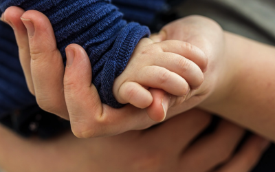 Deputaţii au adoptat noi condiţii de obţinere a atestatului, procedura de atestare şi statutul asistentului maternal