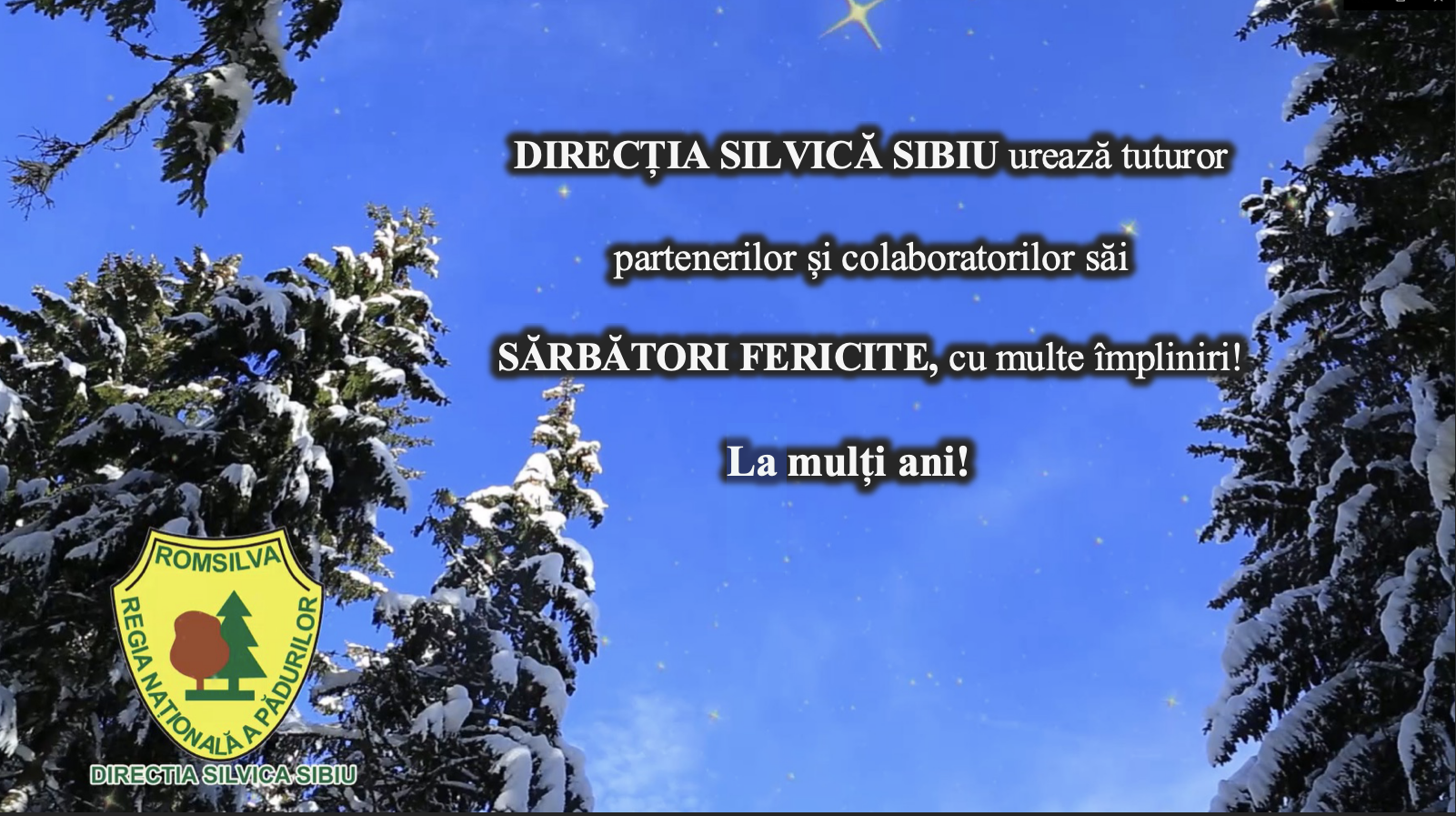 Mesajul de Crăciun din partea Direcției Silvice Sibiu