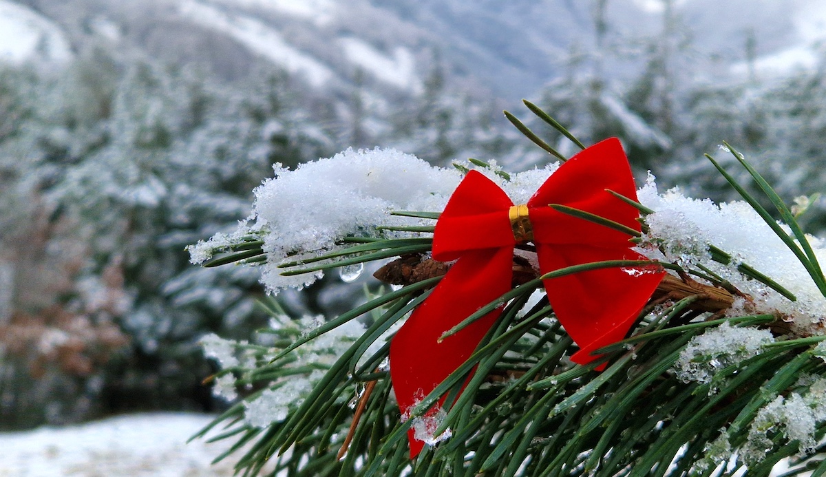 Meteorologii sibieni prognozează „temporar ninsori” pentru Ajunul Crăciunului