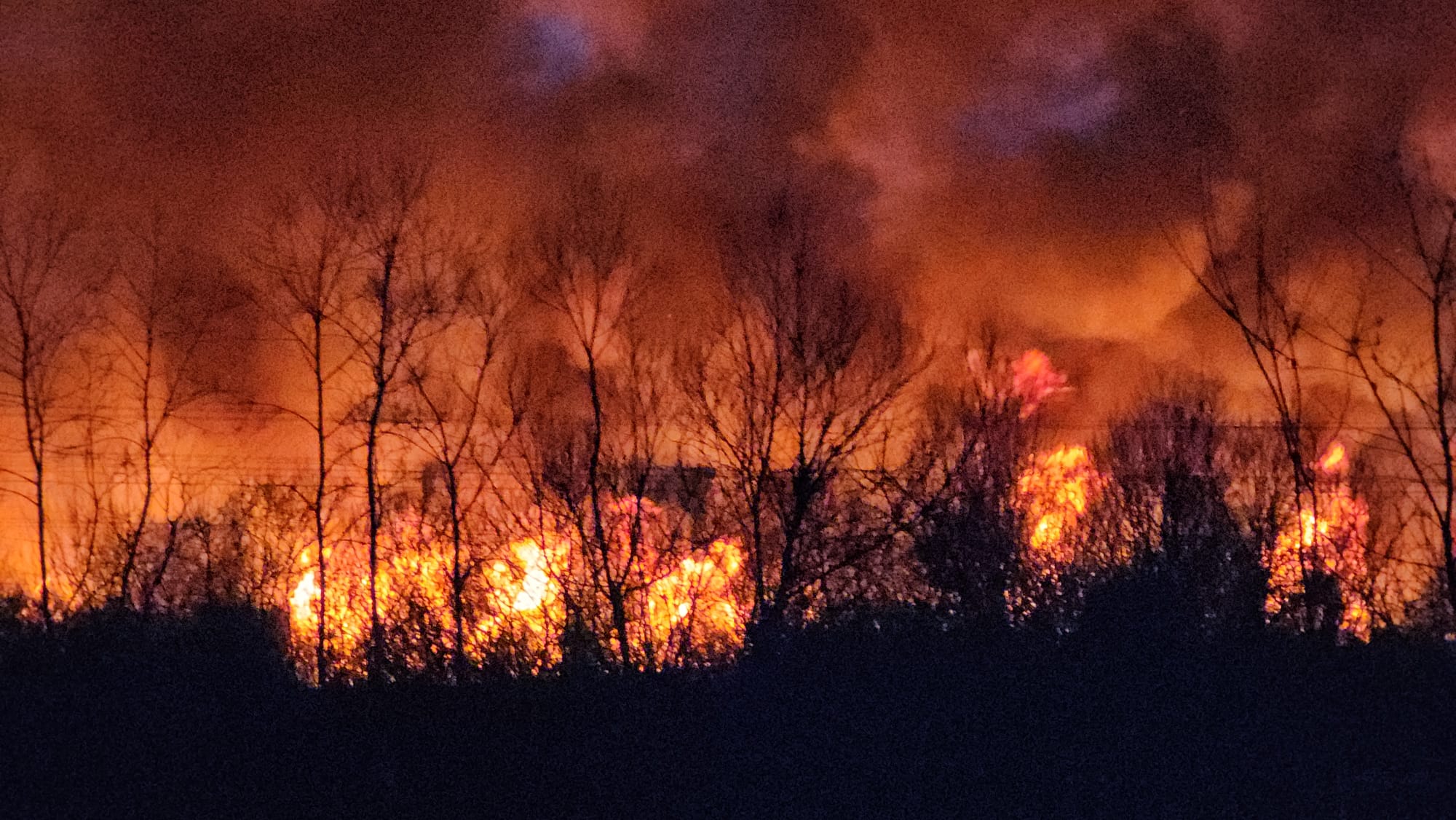 Incendiu puternic de vegetație pe DN1, în dreptul localității Arpașu de Jos. Acționează pompieri din Sibiu și Brașov
