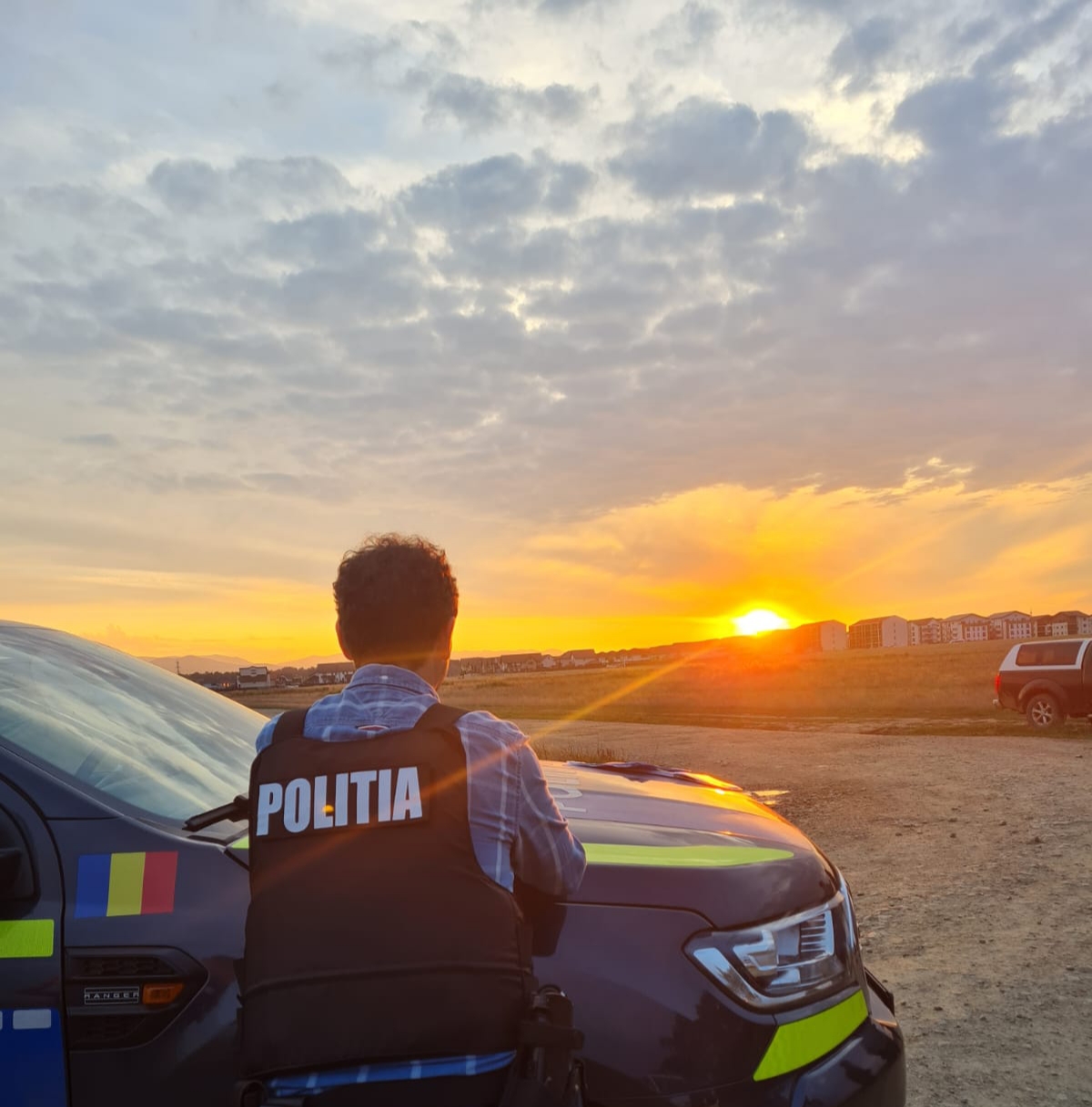 Sibienii, poliția și animalele: un câine a fost aruncat de la etajul 5. Aproape 300 de sesizări pe an despre starea animalelor, într-un județ tot fără adăpost