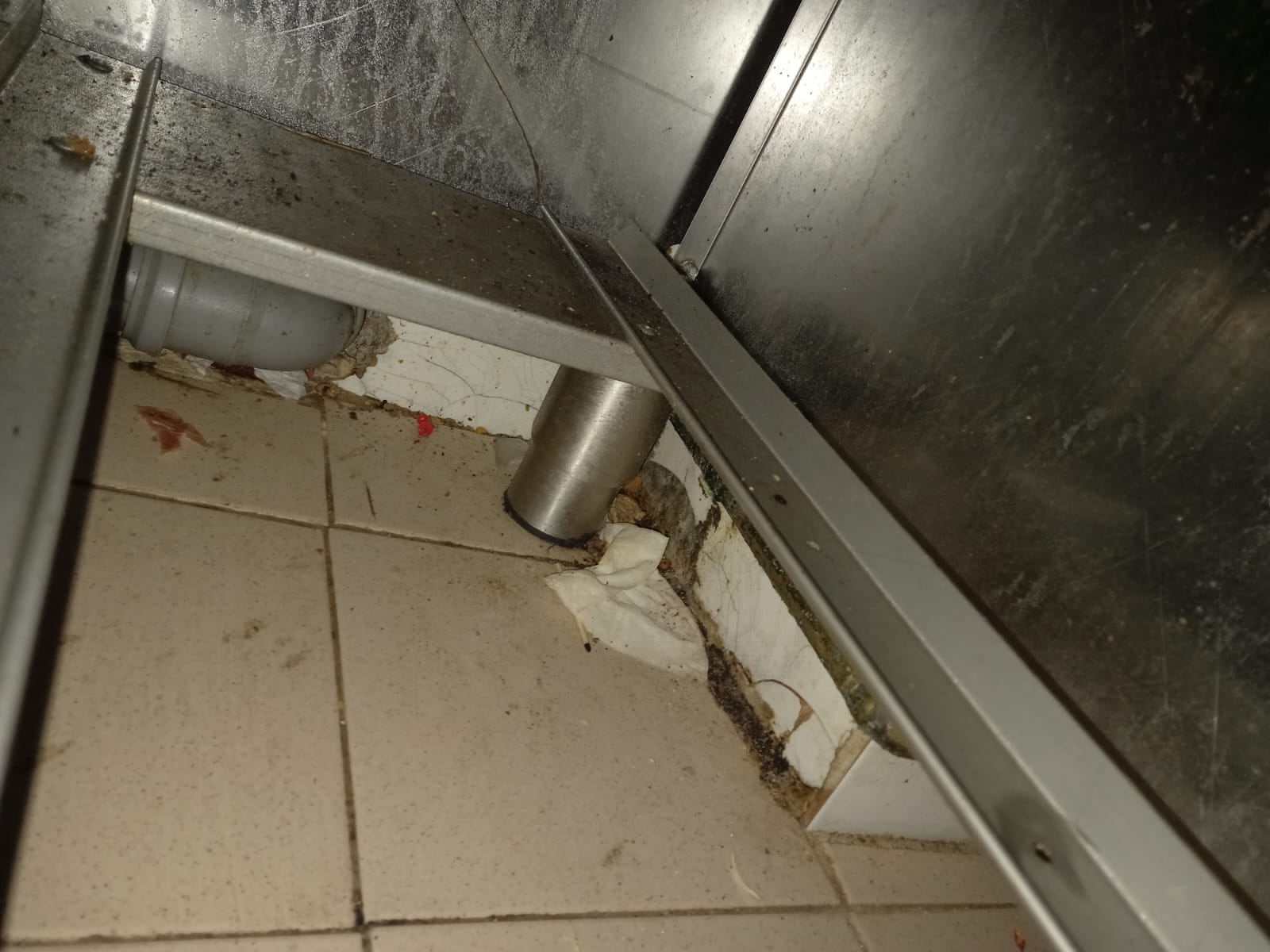 Palatul Brukenthal din Avrig s-a redeschis după vizita Protecției Consumatorului. Amalia Cindrea: ”S-au remediat deficiențele”