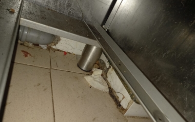 Palatul Brukenthal din Avrig s-a redeschis după vizita Protecției Consumatorului. Amalia Cindrea: ”S-au remediat deficiențele”
