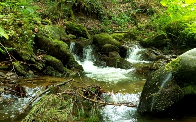 Sibienii care s-au opus betonării râurilor de munte au avut succes. Și i-a remarcat și premierul. Verde și apă curată, în loc de gabioane și betoane