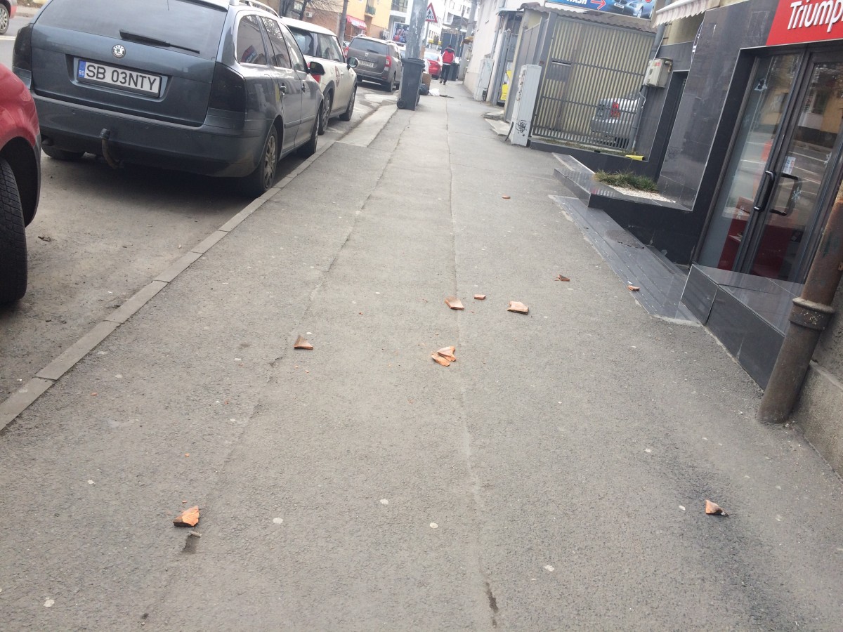 Urmările vântului puternic de azi-noapte în Sibiu