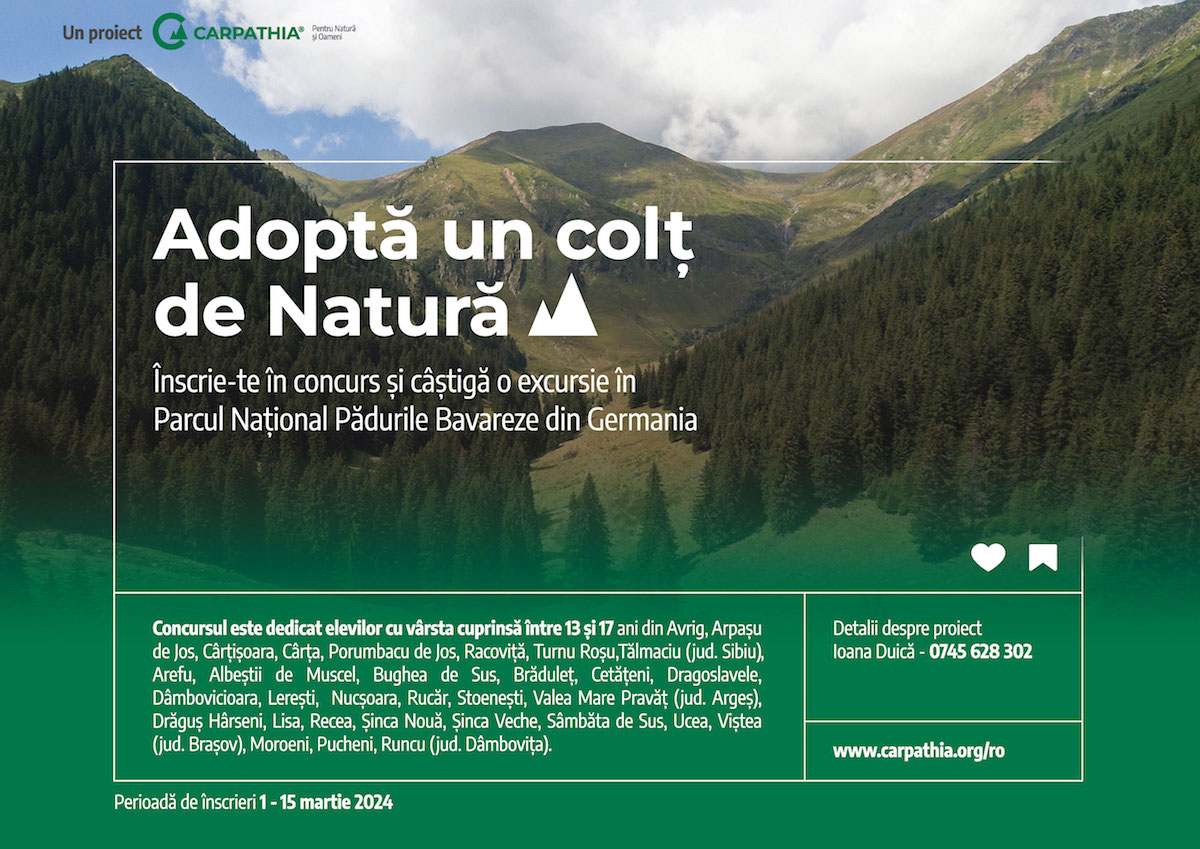 Concurs pentru elevii din jurul Munţilor Făgăraş, lansat de Fundaţia Conservation Carpathia. 15 elevi pot câștiga o excursie în Germania