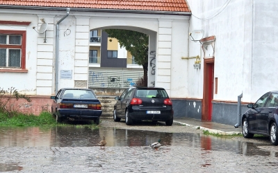 Sibiu, sat frumos. Balta din fața gării Turnișor a ajuns atât de mare încât atrage rațele sălbatice